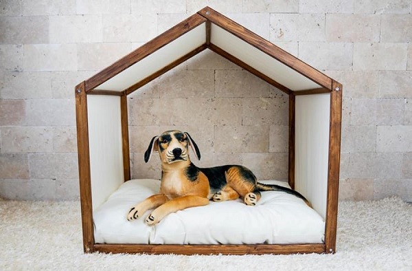 Indoor Dog House With Cardboards.